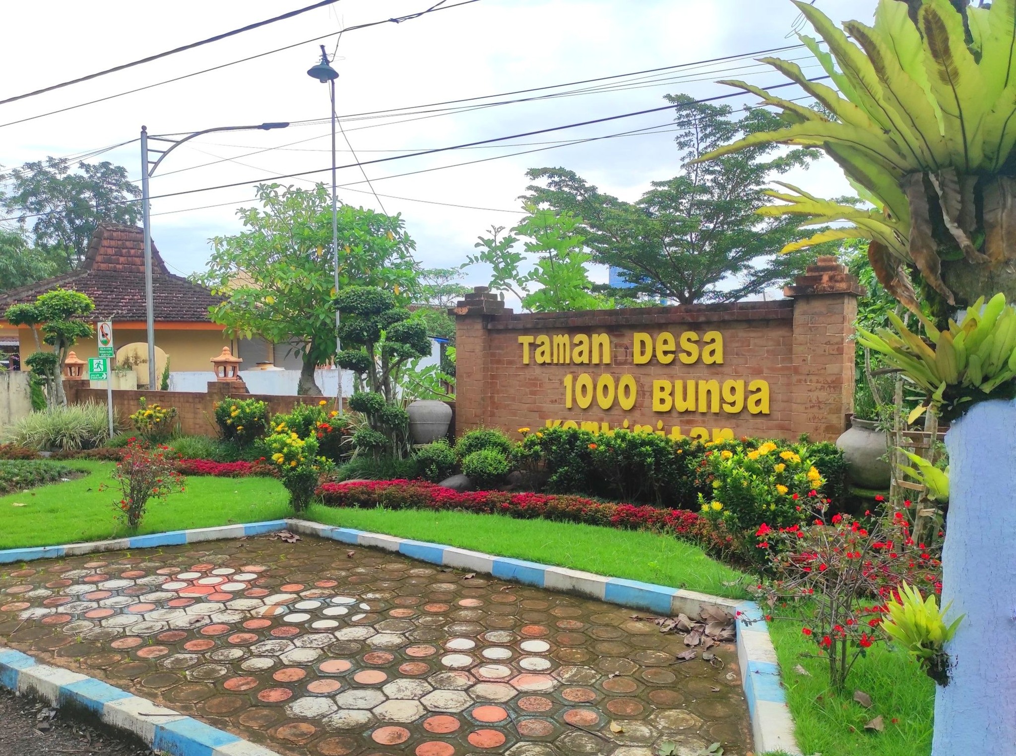 Wajah Baru Kantor Desa Kembiritan: "Taman 1000 Bunga" Kini Semakin Asri dan Estetik